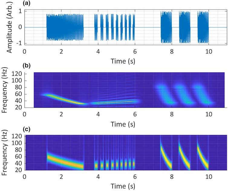 Our new technology helps us find hidden information in the calls of whales, cassowaries and other barely audible animals