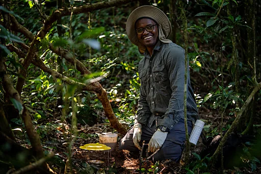 Secret 'sky island' rainforest saved by new discoveries - BBC News